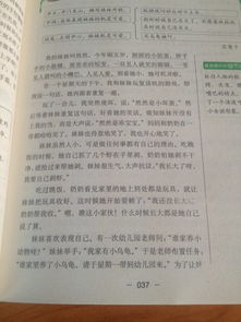 三級作文校園里的事作文