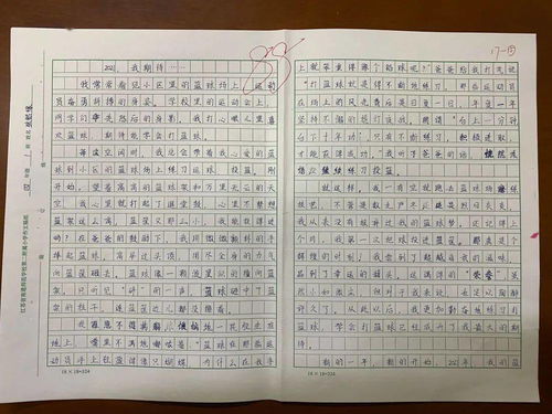 四年級(jí)優(yōu)秀作文校園的一角,四年級(jí)優(yōu)秀作文校園趣事四百字,四年級(jí)優(yōu)秀作文校園的一角四百字