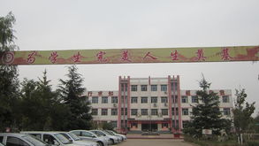 東街,作文,美麗,校園