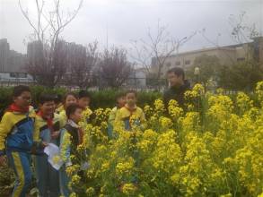 校園中的甜作文500