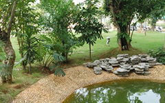 我木校園的一角作文200