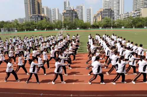 武術(shù)走進(jìn)校園作文