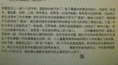 我們的校園說明文600字作文怎么寫