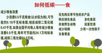 無廢校園建設作文