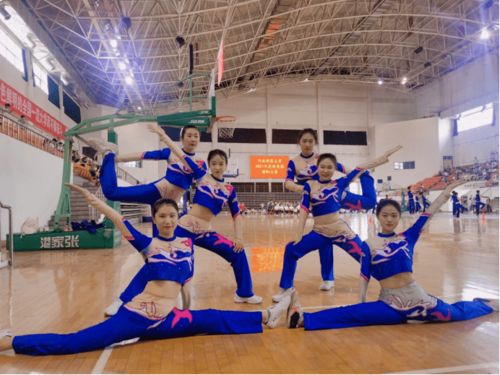 校園陽光體育運動會作文400