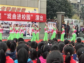 襄陽市荊州街下學校園作文