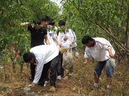 清理白色垃圾作文五百字,關(guān)于清理垃圾的作文,清理海邊垃圾的作文