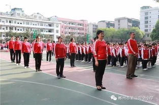 創(chuàng)文明校園做美德少作文