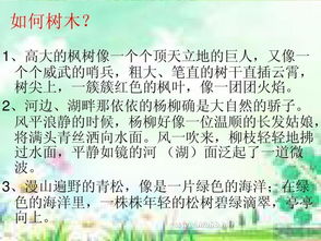 我的校園作文三百字一處景物描寫