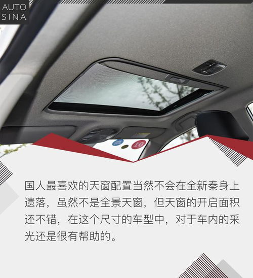 注意事項,女司機,駕駛