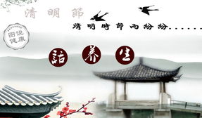 清明時(shí)節(jié)的注意事項(xiàng),白露的養(yǎng)生和注意事項(xiàng),立秋養(yǎng)生注意事項(xiàng)