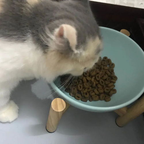 搬家的注意事項,搬家順序和注意事項,搬家的風俗講究和注意事項