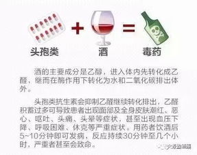 聚餐喝酒注意事項(xiàng)的通知,參加年會(huì)注意事項(xiàng)通知,公司年會(huì)注意事項(xiàng)通知