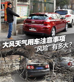 大風(fēng)天氣停車注意事項