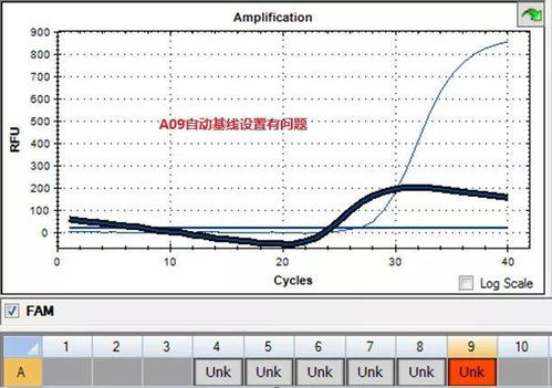 注意事項,pcr