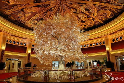 澳門購物回來注意事項,澳門出關珠海注意事項,澳洲出關需要注意事項