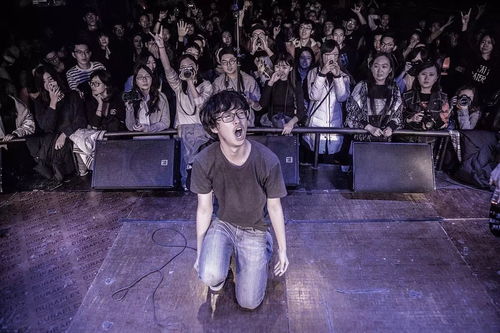 注意事項(xiàng),搖滾,現(xiàn)場(chǎng)