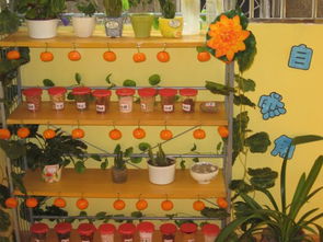 幼兒園,注意事項(xiàng),自然