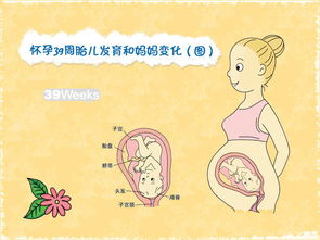 懷孕29周后注意事項