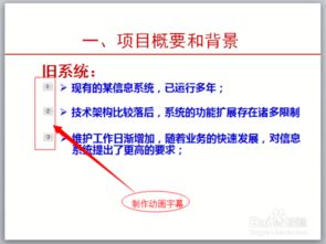 驗收,注意事項,項目,軟件