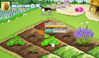 平房種菜的注意事項