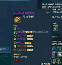 玄武,注意事項(xiàng)