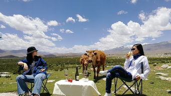 午飯,注意事項,納木錯