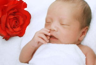 0至1歲育兒注意事項(xiàng),冬季育兒注意事項(xiàng),請(qǐng)育兒嫂注意事項(xiàng)