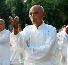 太極,注意事項,蘇永泉