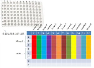 pcr加樣注意事項