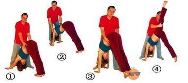 肩肘倒立注意事項