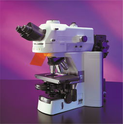 顯微鏡使用的注意事項,顯微鏡注意事項5個,光學(xué)顯微鏡的注意事項