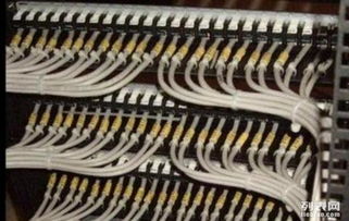 分包,注意事項(xiàng),弱電