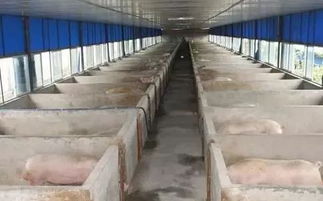 冷庫建設(shè)注意事項,機房建設(shè)注意事項,廠房建設(shè)注意事項