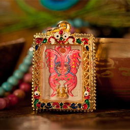 蝴蝶牌佩戴注意事項