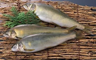 魚塘用代森銨的注意事項(xiàng),代森銨打柑橘青苔注意事項(xiàng),代森聯(lián)注意事項(xiàng)