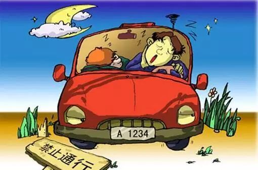 春節(jié)坐車(chē)回家注意事項(xiàng),貓咪坐車(chē)注意事項(xiàng),狗狗坐車(chē)注意事項(xiàng)