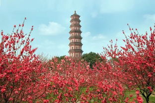 蓮花山拜觀音注意事項(xiàng)