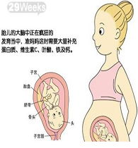 懷孕29周飲食注意事項,懷孕12周后注意事項,懷孕37周后注意事項