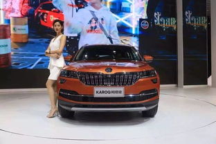 注意事項(xiàng),斯柯達(dá)