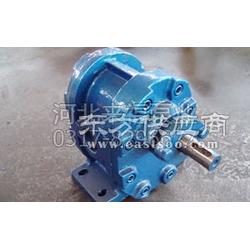 注意事項,齒輪泵