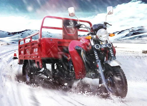 彎梁摩托車換擋技巧,彎梁摩托車換擋口訣,彎梁摩托車怎么換擋圖解