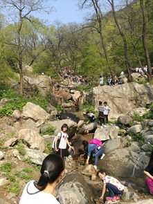 泰山,注意事項(xiàng),五一登