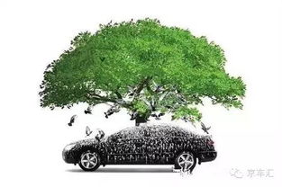 車停樹下注意事項(xiàng)