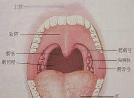 患會厭囊腫的注意事項