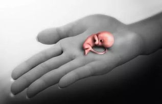 子宮破裂術(shù)后注意事項,子宮破裂修補術(shù)后注意事項,為預防子宮破裂手術(shù)注意事項不包括