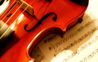 小提琴,三把,注意事項(xiàng),位換到