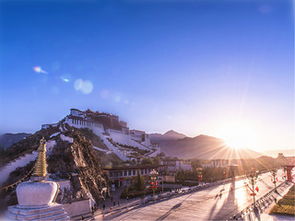 西藏,靈芝,注意事項,旅游