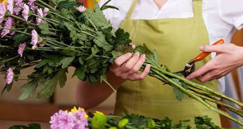 保鮮,注意事項,鮮切花