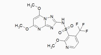 雙氟磺草胺注意事項(xiàng),惡唑酰草胺注意事項(xiàng),硝磺草酮注意事項(xiàng)